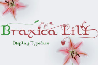 Braxica Lily: A Display Font for Refined Editorial Storytelling